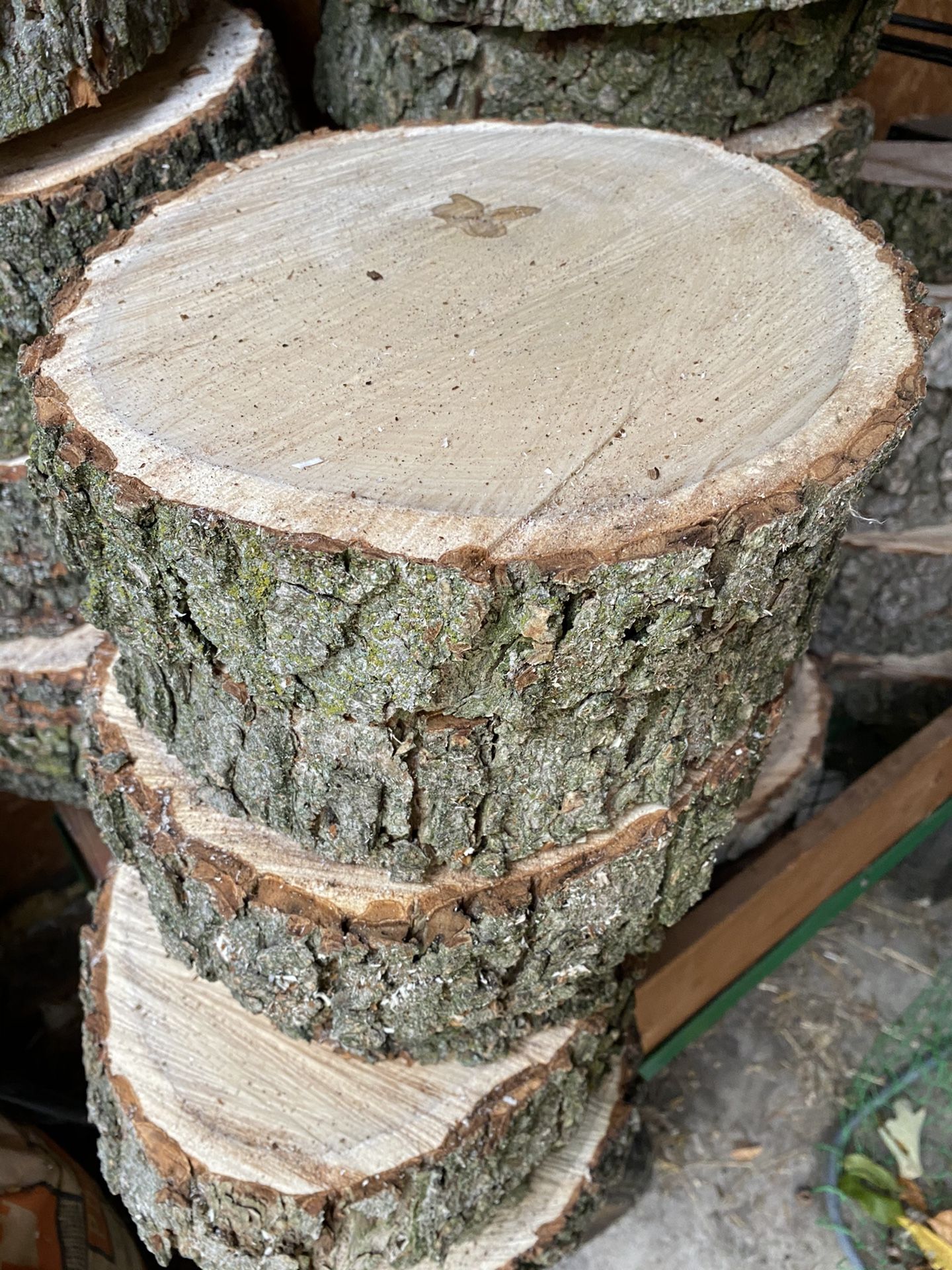 Fresh Wood Slices