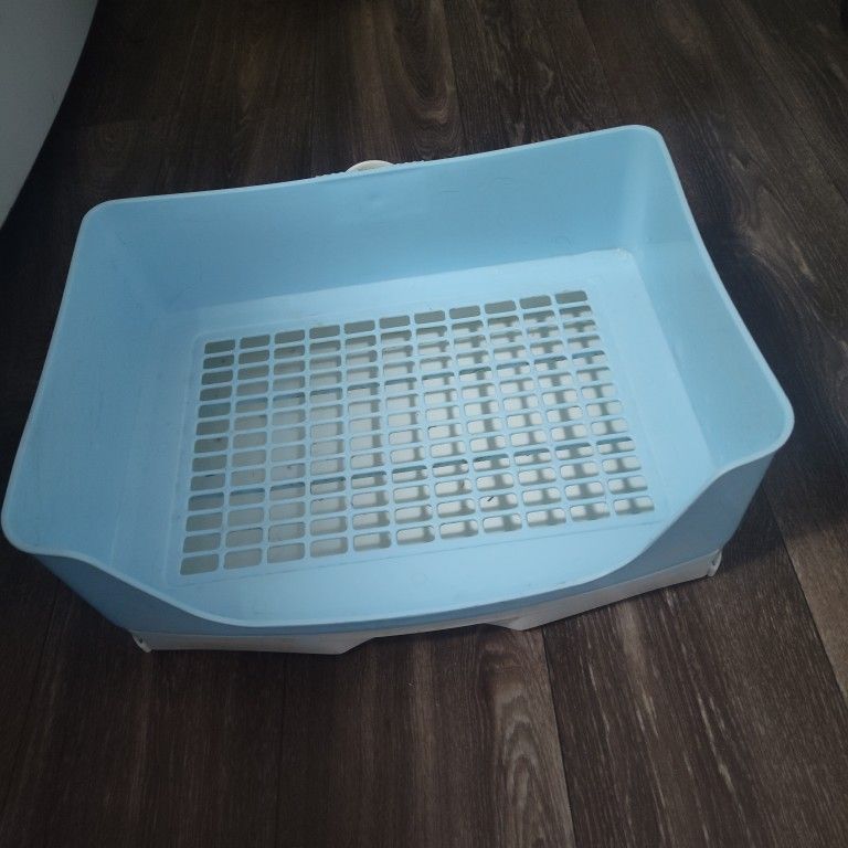 Bunny Litter