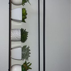 Fake Succulents 