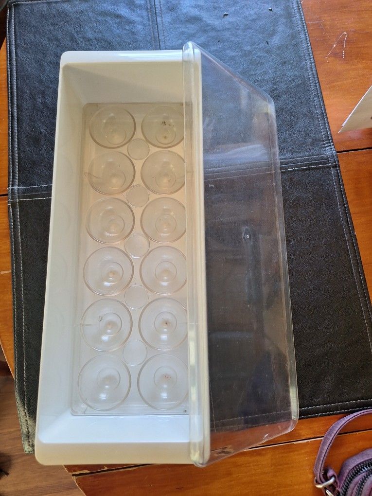 Egg Container