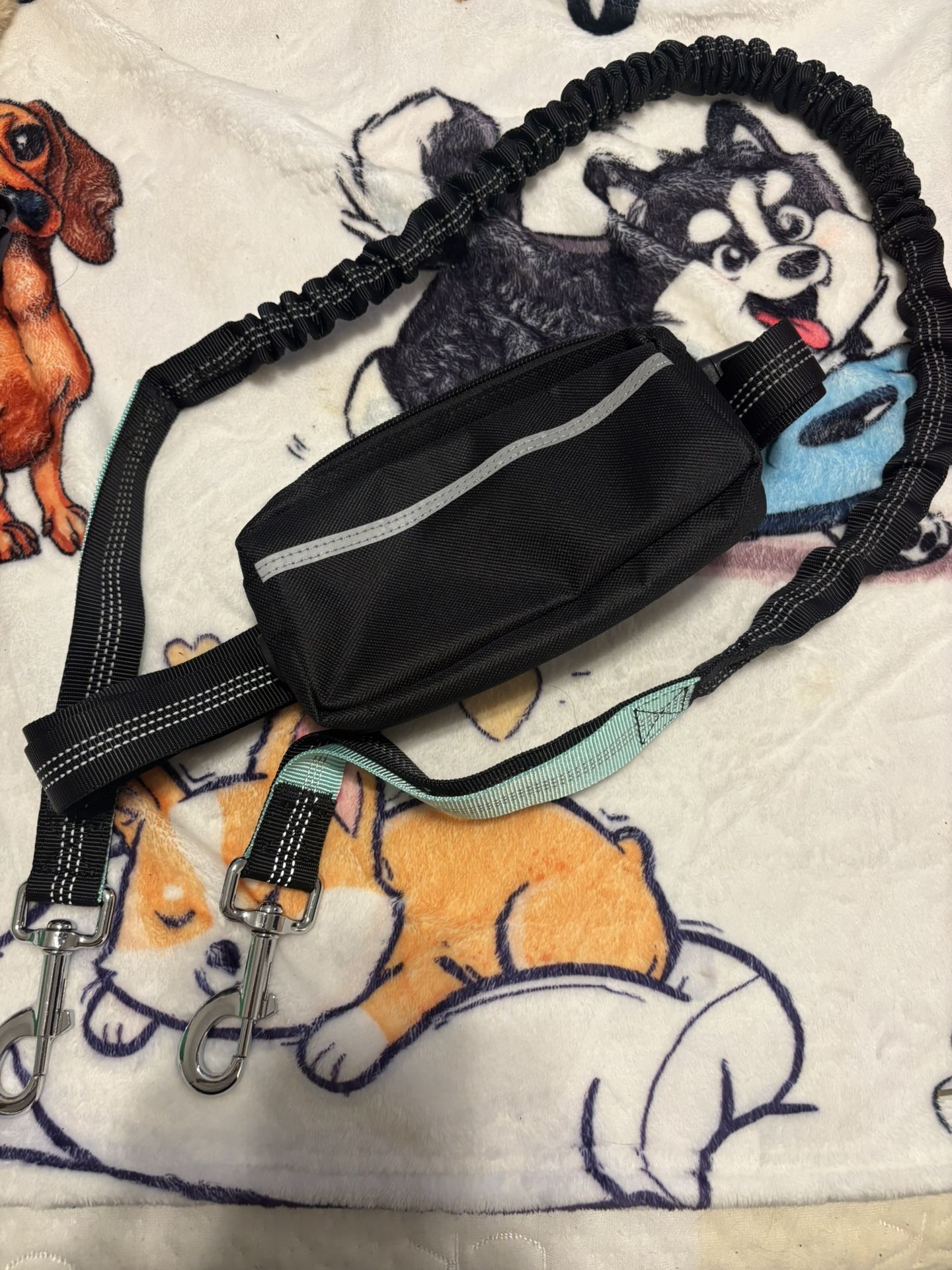 Fanny pack and dog leash expandable