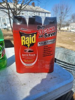 raid bug killer