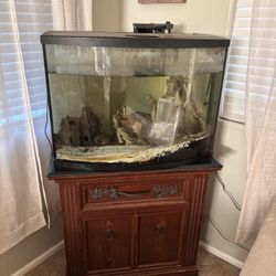 Fish Tank 