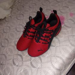 Red 🍒♥️ Snicker 7.5 