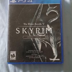 The Elder Scrolls V: Skyrim Special Edition (PS4)