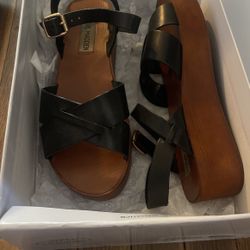 Steve Madden Wedges 