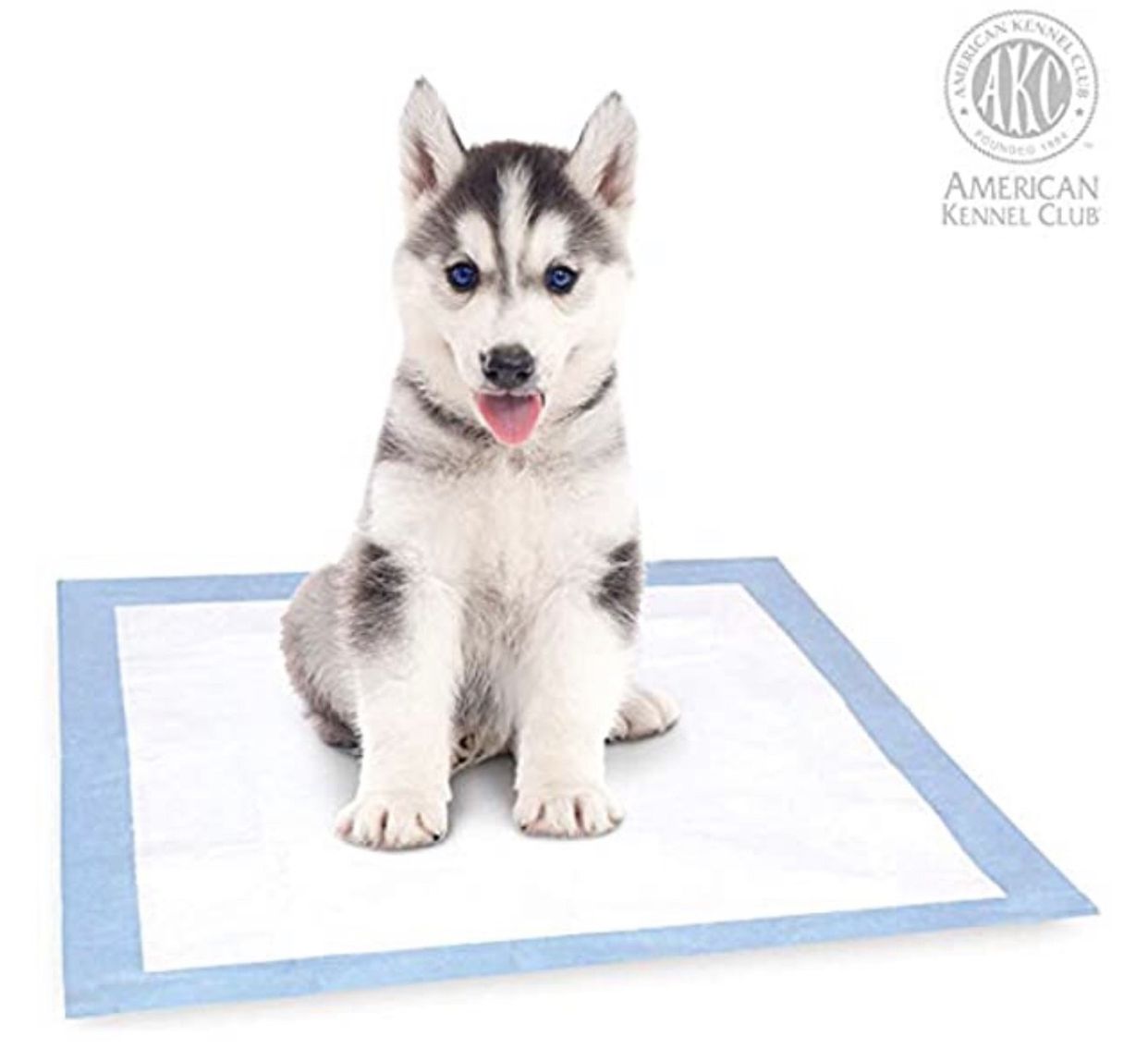 Pet dog training pads (2 Packages Total)