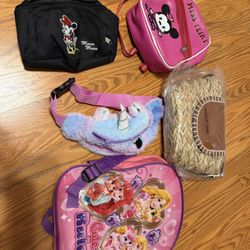 Purse, Mini Book Bag, Fanny Pack