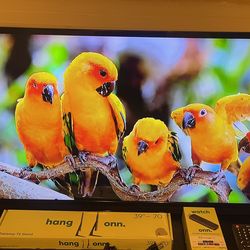 39” INSIGNIA LED TV + BRAND NEW ONN STRESMING DEVICE + BRAND NEW STAND LEGS