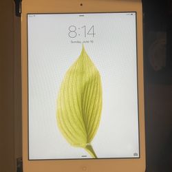 iPad Mini 