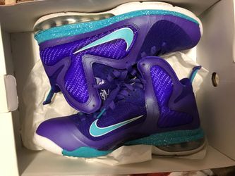 LeBron 9s hornets