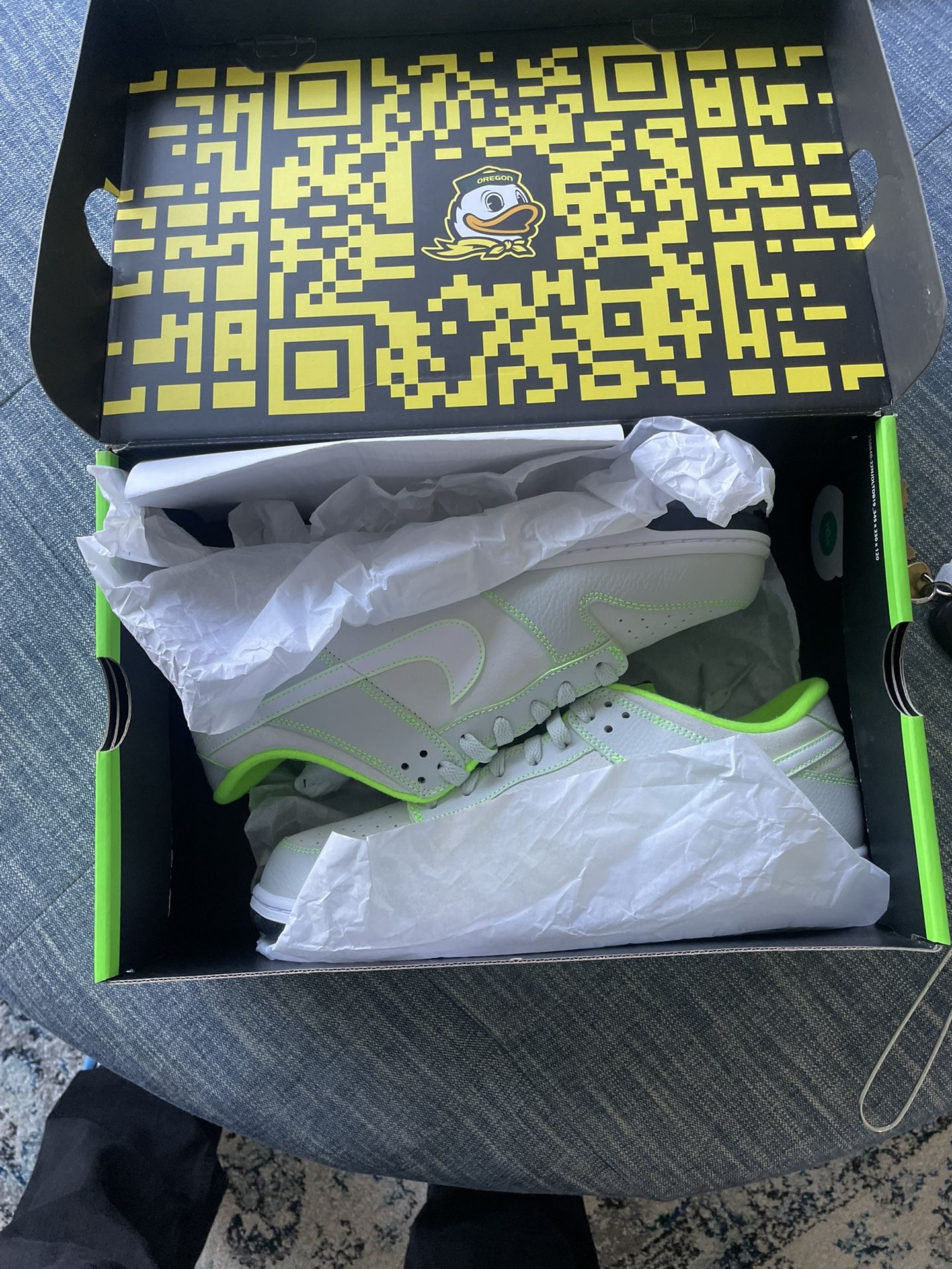 Nike Dunks “ Oregon Ducks “