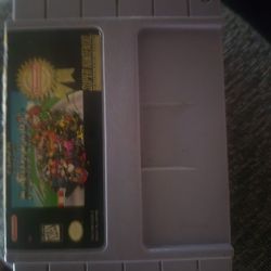 Nintendo Super Mario Kart
