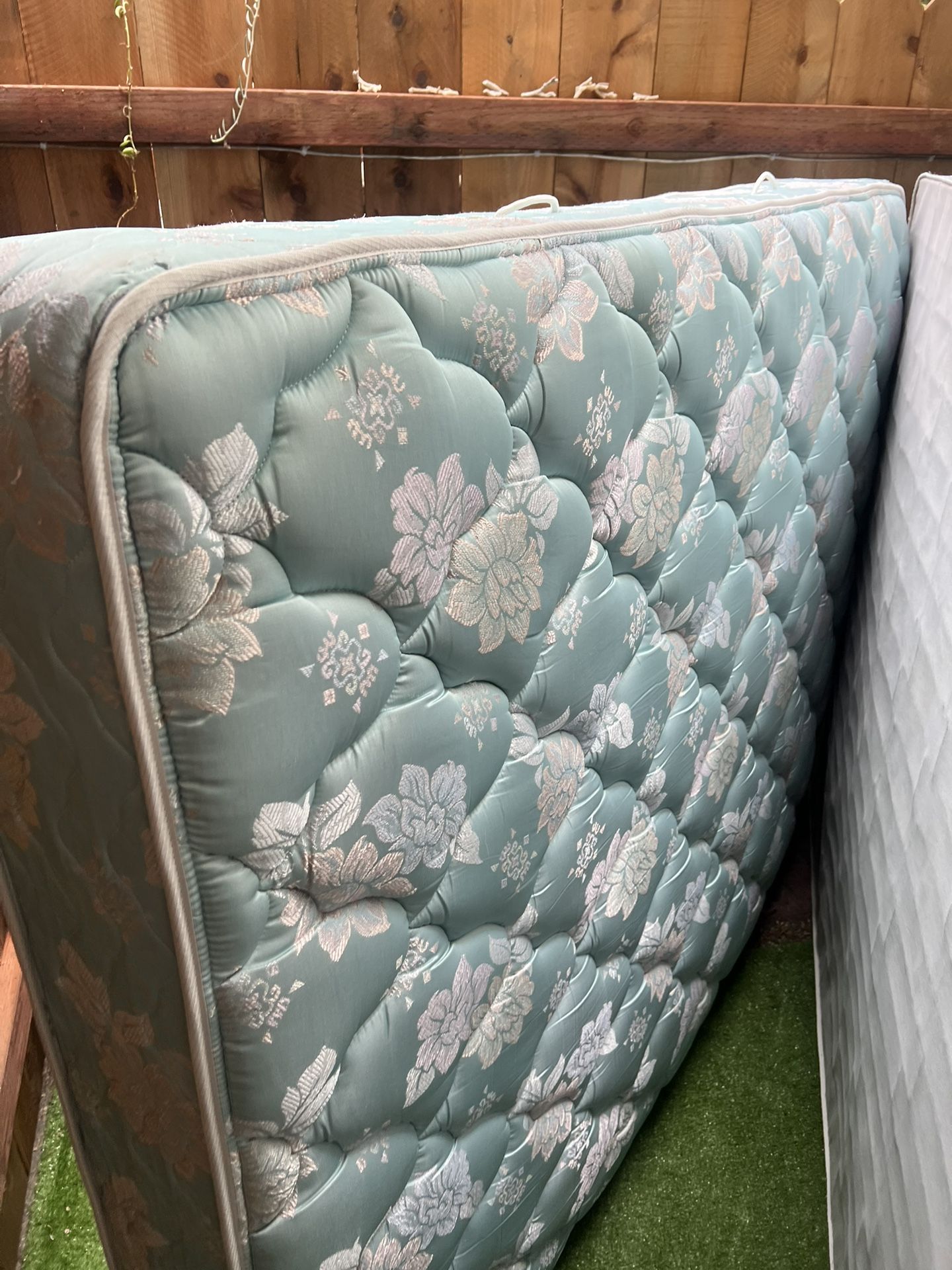 Queen Box Spring - Free