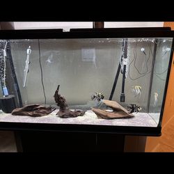 55 Gallon Fish Tank with Stand and Filter