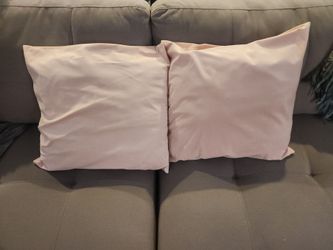 Blush Pillows 20x20