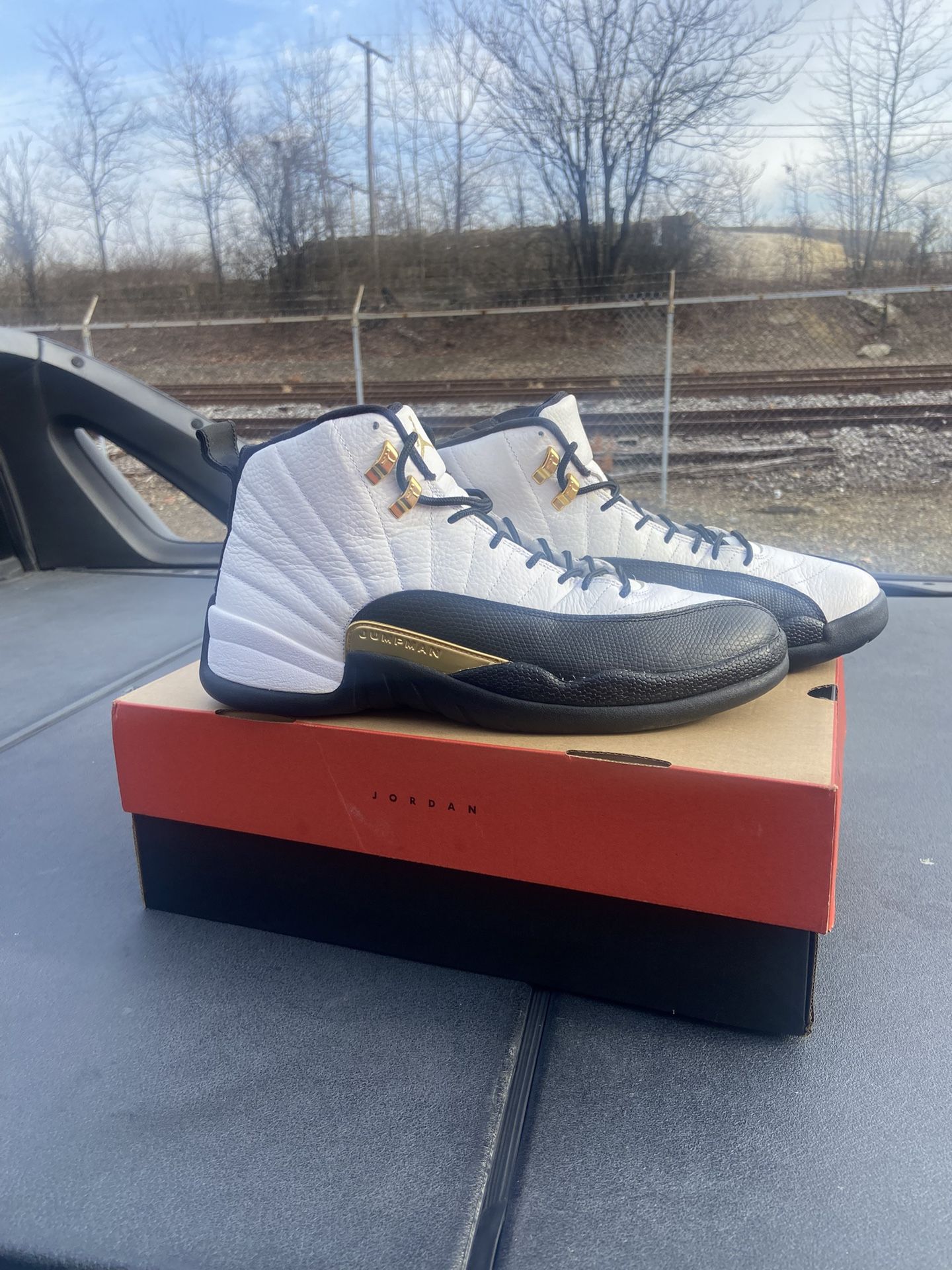 Air Jordan 12 Retro Royalty Size 13
