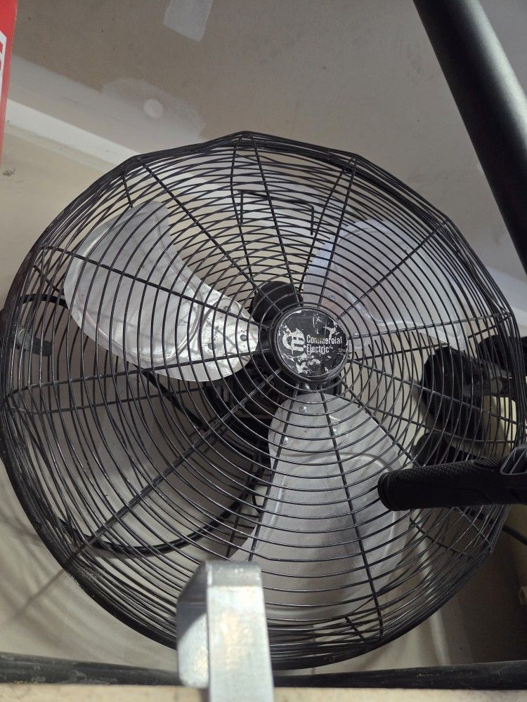 Fan
