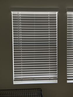 Windows Shades