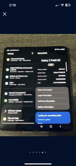 Galaxy Fold 3