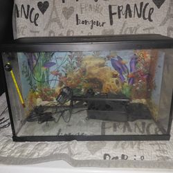 10 Gallon Fish Tank With Filter