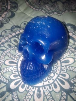 Skull Candle Homeless Program