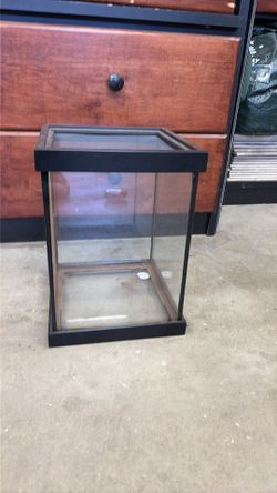 5 gallon terrarium