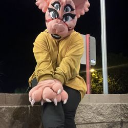 Melanie Martinez Fur Suit