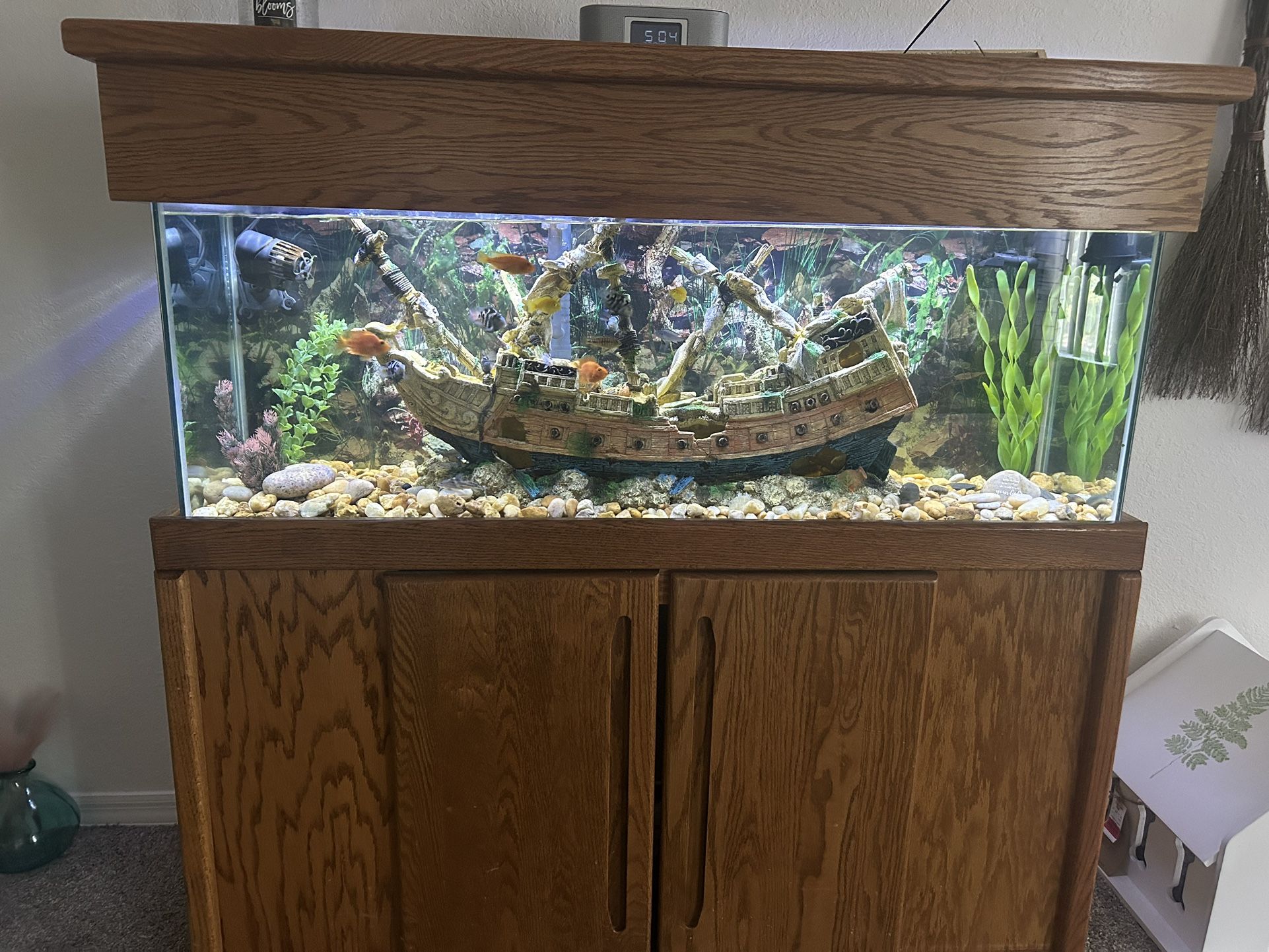 55 Gallons Tank (ALL)