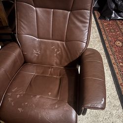 All free! Must pick up Sunday 3/22