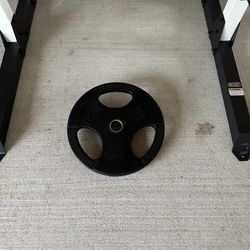 Troy USA 45Lb Rubber Grip Weight Plates  $50   