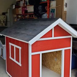 Dog 🐶 HOUSE 🏠