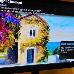 TV- Liquid Plasma Display