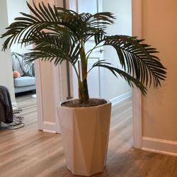 Fake House Plant