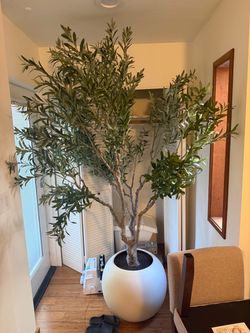 Large Faux Olive Tree with Planter