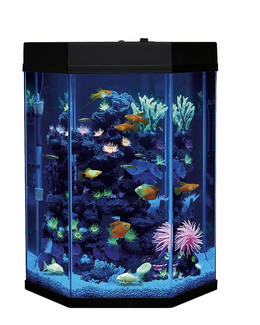 Used Top Fin Hexagon Aquarium 20 Gallon