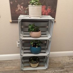 Nice Shelf For Plants