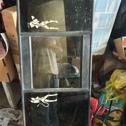 Back Window