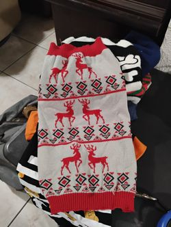 Artículos Para Perritos