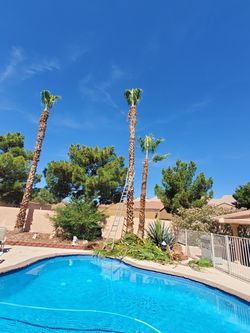 $$$$$40palmscleanerguy