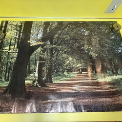 Vintage 1974 Poster Forest Path In Springtime English Countryside Poster