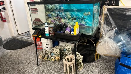 Fish Tank Set