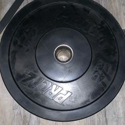 Single 45 Lb Olympic Weight Plate