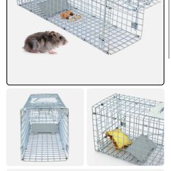 24 Inch Humane Live Animal Trap Cage Catch Release for Rabbit Squirrel, Raccoon
