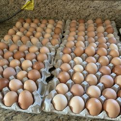Huevo 🥚 