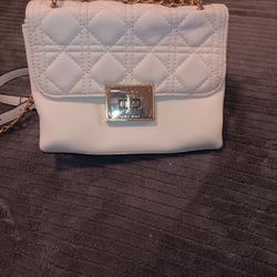 Small White Purse