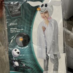 3-4T Hallowed Costume