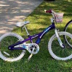 NICE BIKE 