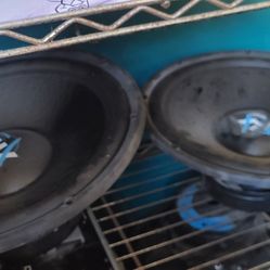 Car Subwoofers 