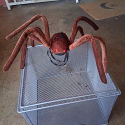 Halloween Spider Decoration